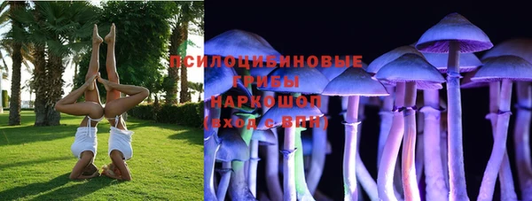 Альфа ПВП Арсеньев