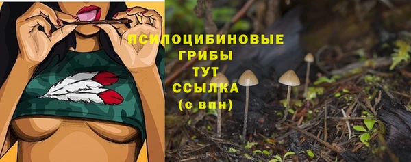 Альфа ПВП Арсеньев