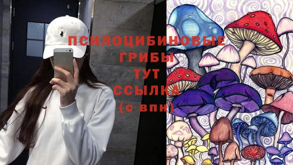 Альфа ПВП Арсеньев