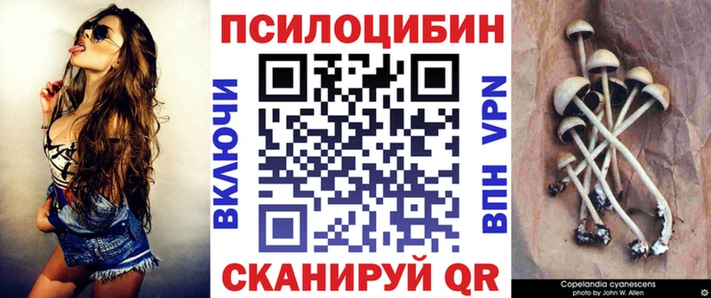Псилоцибиновые грибы GOLDEN TEACHER  Кондрово 